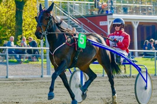 Cecilie stopper som professionel i travsporten