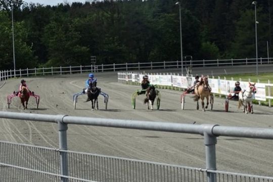 Otte ponykuske til DM-st�vne p� Lunden