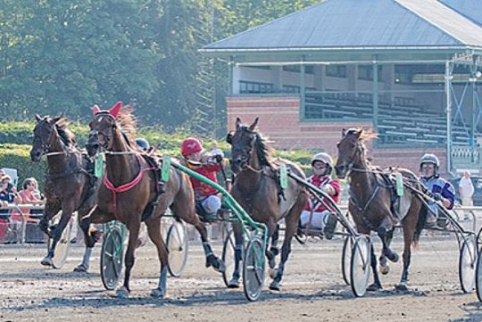 Tredjeplads og b�de til ung travkusk