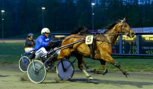 Har ikke fortrudt k�bet af Fortune Boko