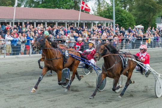 Suver�n vinder i Firmaets Hest