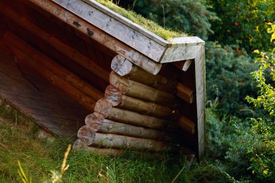 H�rv�rk p� shelterplads