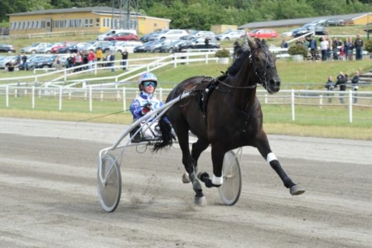 Bornholmersejr i Aarhus