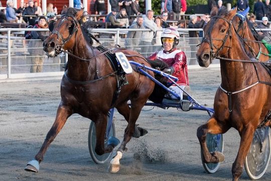 Hest udg�et i mesterskabsl�b p� tirsdag