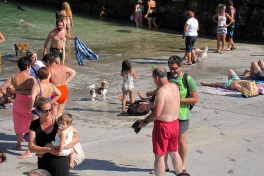 Tag dine forholdsregler i varmen