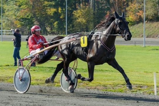 Gommans tror p� dobbelt triochance