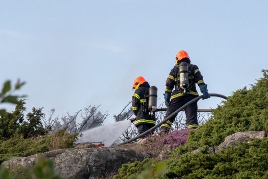 Naturbrand i Ringebakkerne
