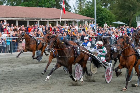 V5-garanti p� 250.000 kr. til BM p� s�ndag