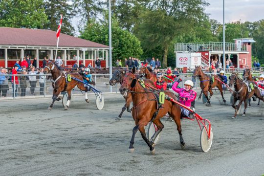 Ung kusk satser med k�b af ny travhest