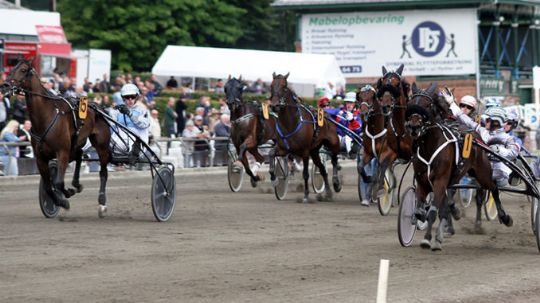 Mange bornholmere chancer i �rets derbyweekend