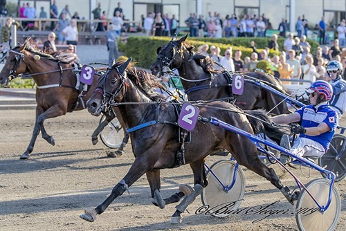 Bornholmsk opdr�t til tops i derbyweekenden