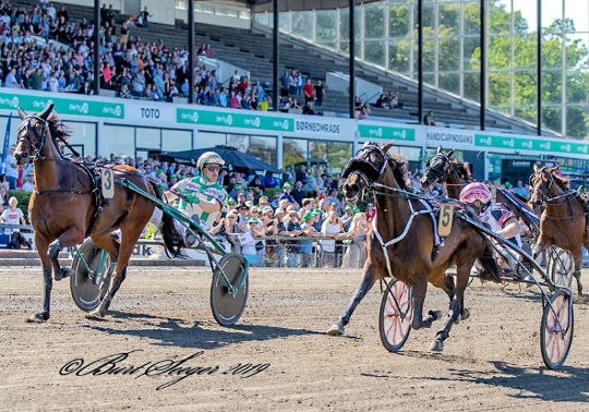 Nyk�ret derbyvinder skal snart p� auktion