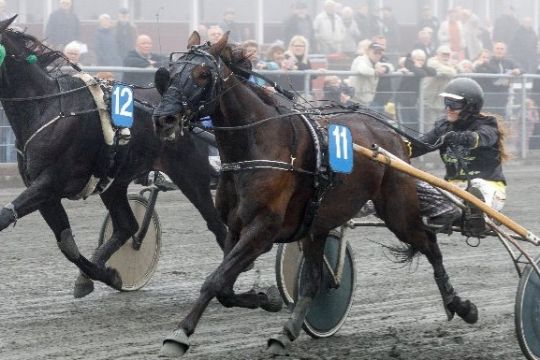 Kandidat til mesterskab skifter kusk