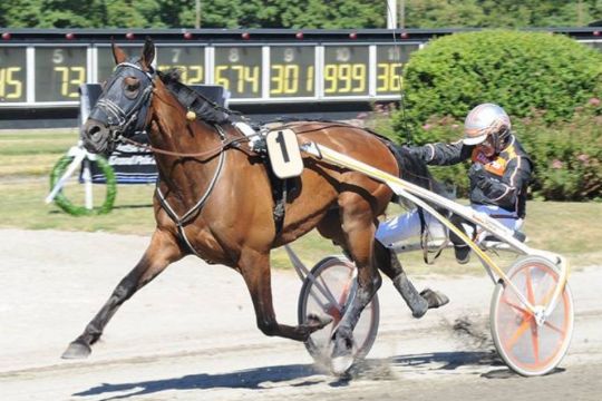 To�rig travhest i pr�miel�b i Sverige