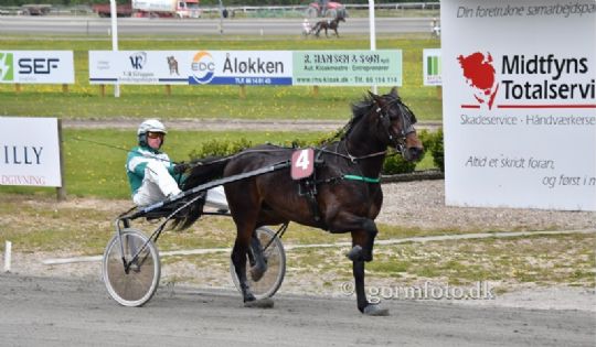 Bornholmsk opdr�t til tops i Aarhus