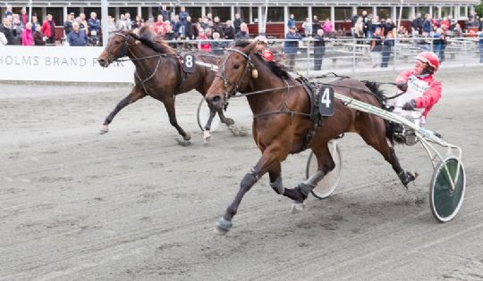 Travhest solgt ud af Bornholm