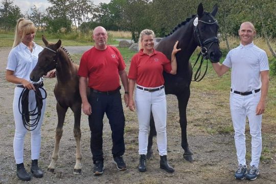 Bornholms bedste f�l k�ret