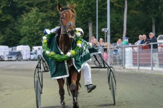 Syv heste klar til 3 �rs mesterskabet