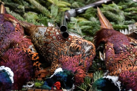 J�gerne nedl�gger masser af vildt