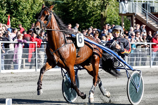 To travkuske k�mper om at vinde p� landsplan