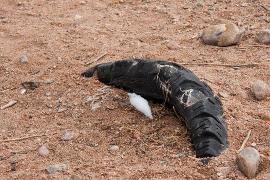 Beskyttelse af vand koster over 10 mio. kr.