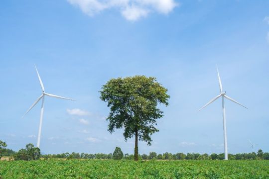 Campus s�tter fokus p� b�redygtighed