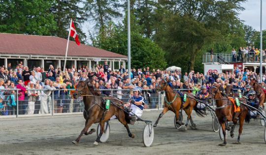 80 g�ster med bus til travl�b p� Bornholm