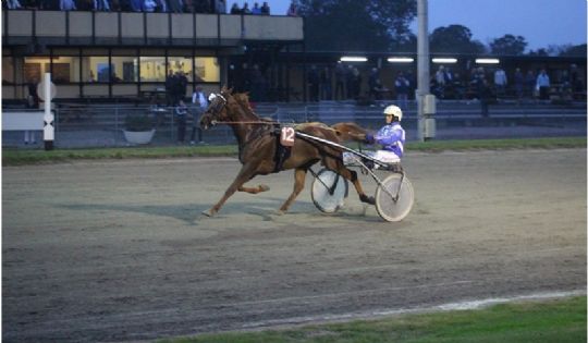 Bornholmer til tops p� Falster