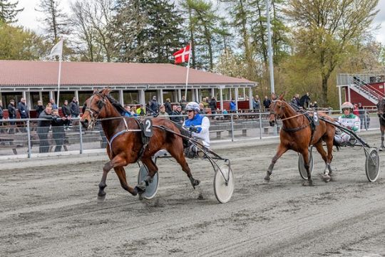 Ny kusk i dagens hovedl�b p� travbanen