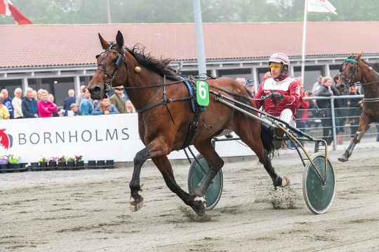 H�rfin kamp om Runner Up-pladsen