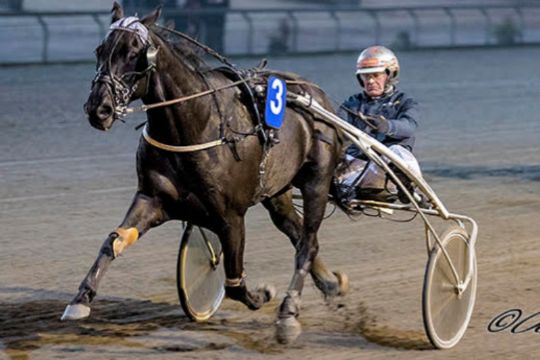 Bornholmere nye medejere af tophest