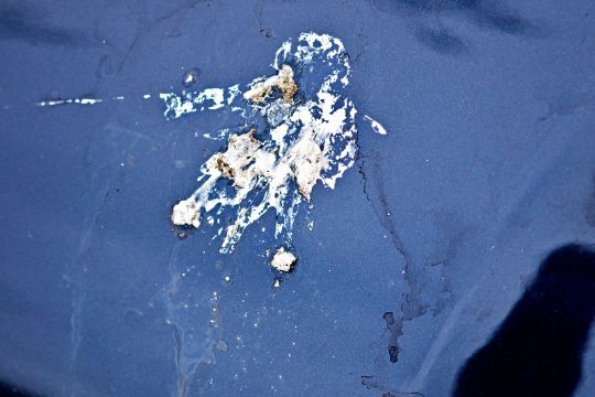 M�geklatten �der lakken