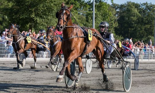 Bornholmsk opdr�t p� sv�r opgave