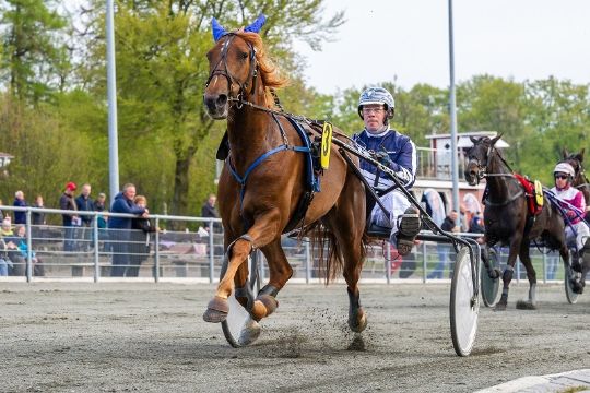 Bliver der to�rsl�b p� travbanen i �r?