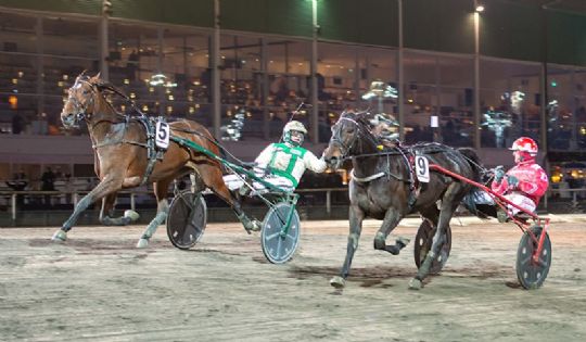 Tilflytter sluttede med maner i Sverige