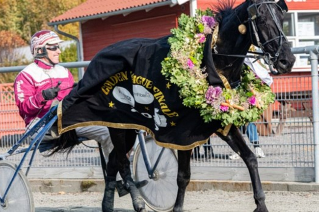 Frank Mikkelsens bedste �r siden sygdom