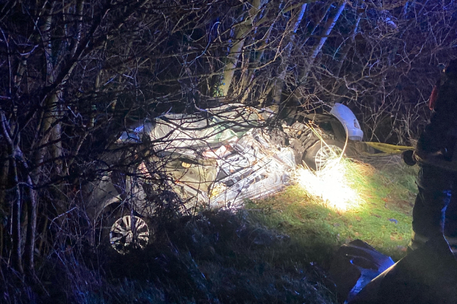 Bilist slap uskadt fra voldsomt solouheld