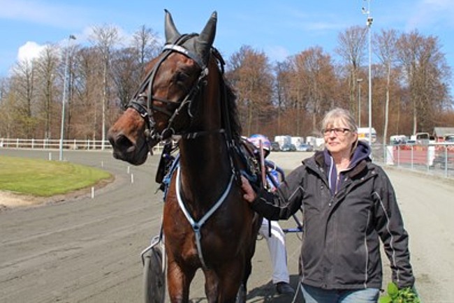 Hestetr�ner pr�ver lykken i Sverige