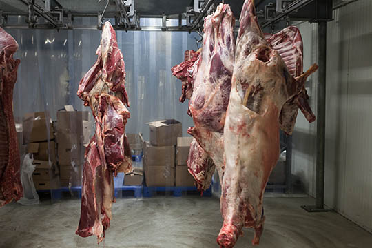 Hallegaard Slagtehus gav underskud