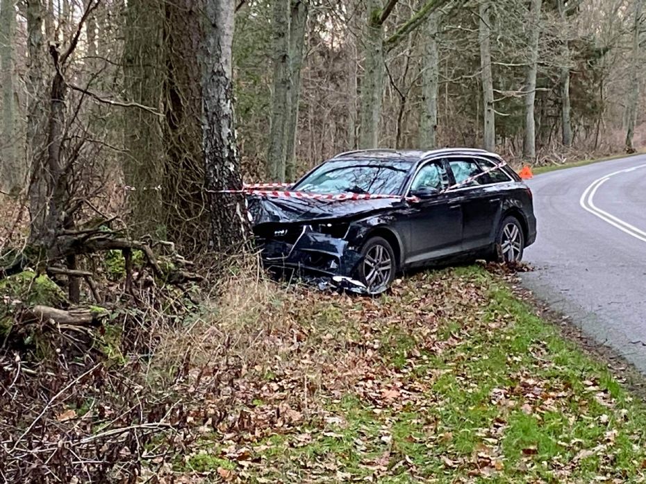 Mandlig bilist k�rte ind i tr� i Hasle