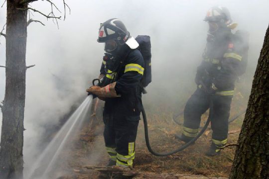 Brandfolk m�tte slukke br�ndende skovbund