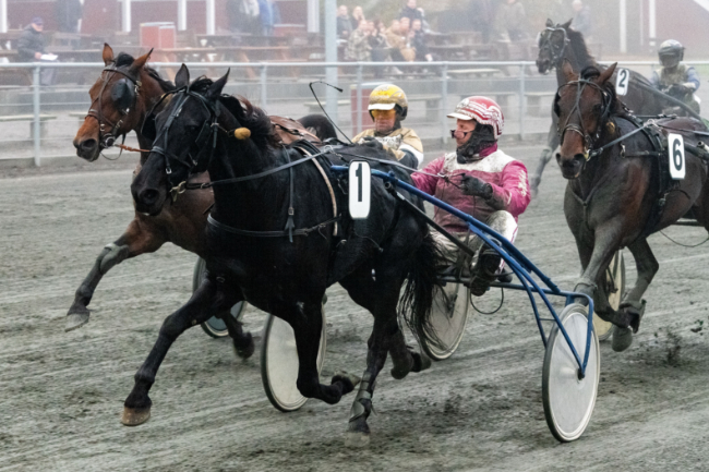 God s�son for flere tr�ningsstalde