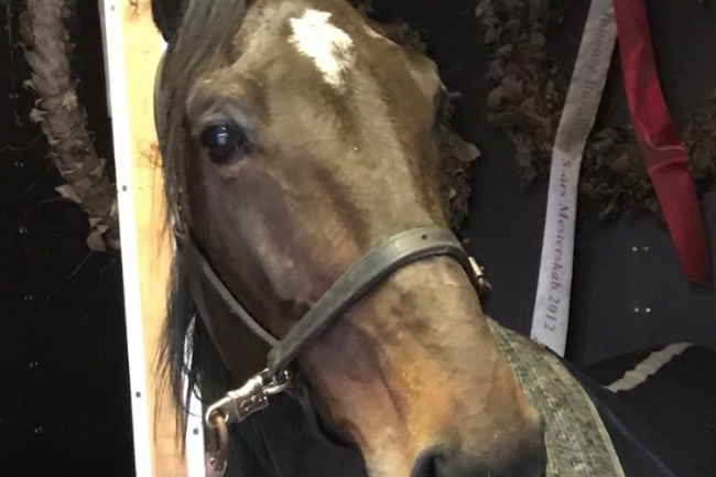 Udskiftning i travstald