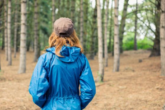 Bliv begravet i skoven