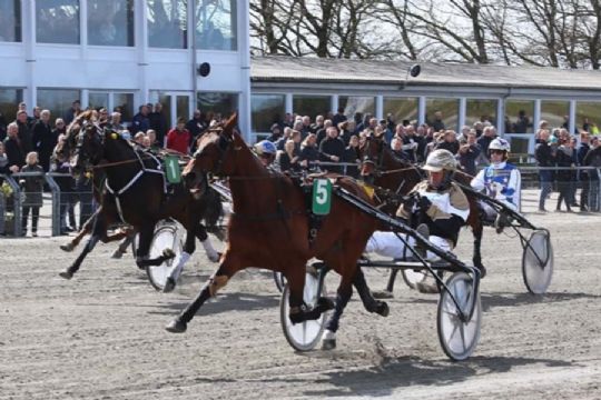 Derbyvinder ankommet til Bornholm