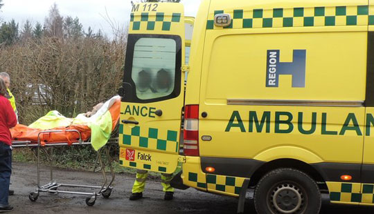 Tr� v�ltede ned foran 26-�rigs bil