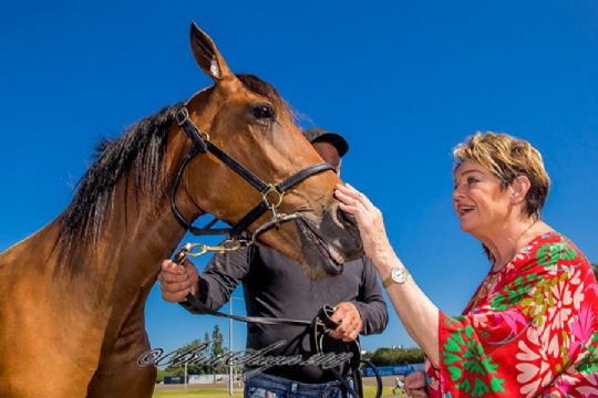 Bornholmere k�ber anpartsheste i hovedstaden