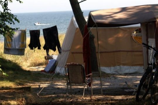 Campingplads �gede sit overskud