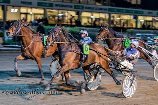 Bornholmeropdr�t jagter hattrick i Sverige