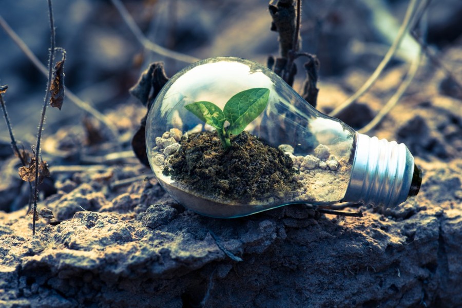 Virksomheder b�r drive b�redygtig udvikling